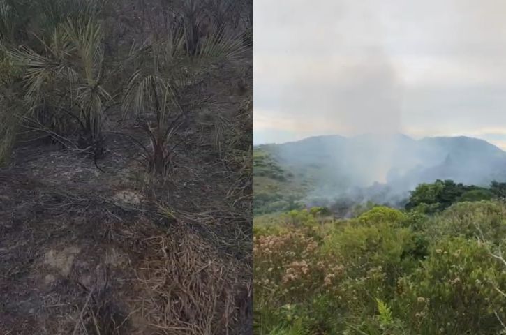 Incêndio atinge área de mata e pés de butiá próximo à Praia da Ribanceira